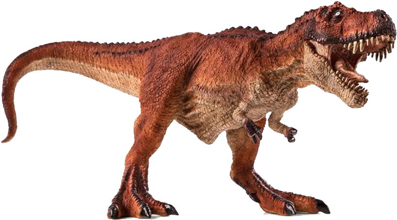 Tyrannosaurus Rex Full Body Profile PNG image