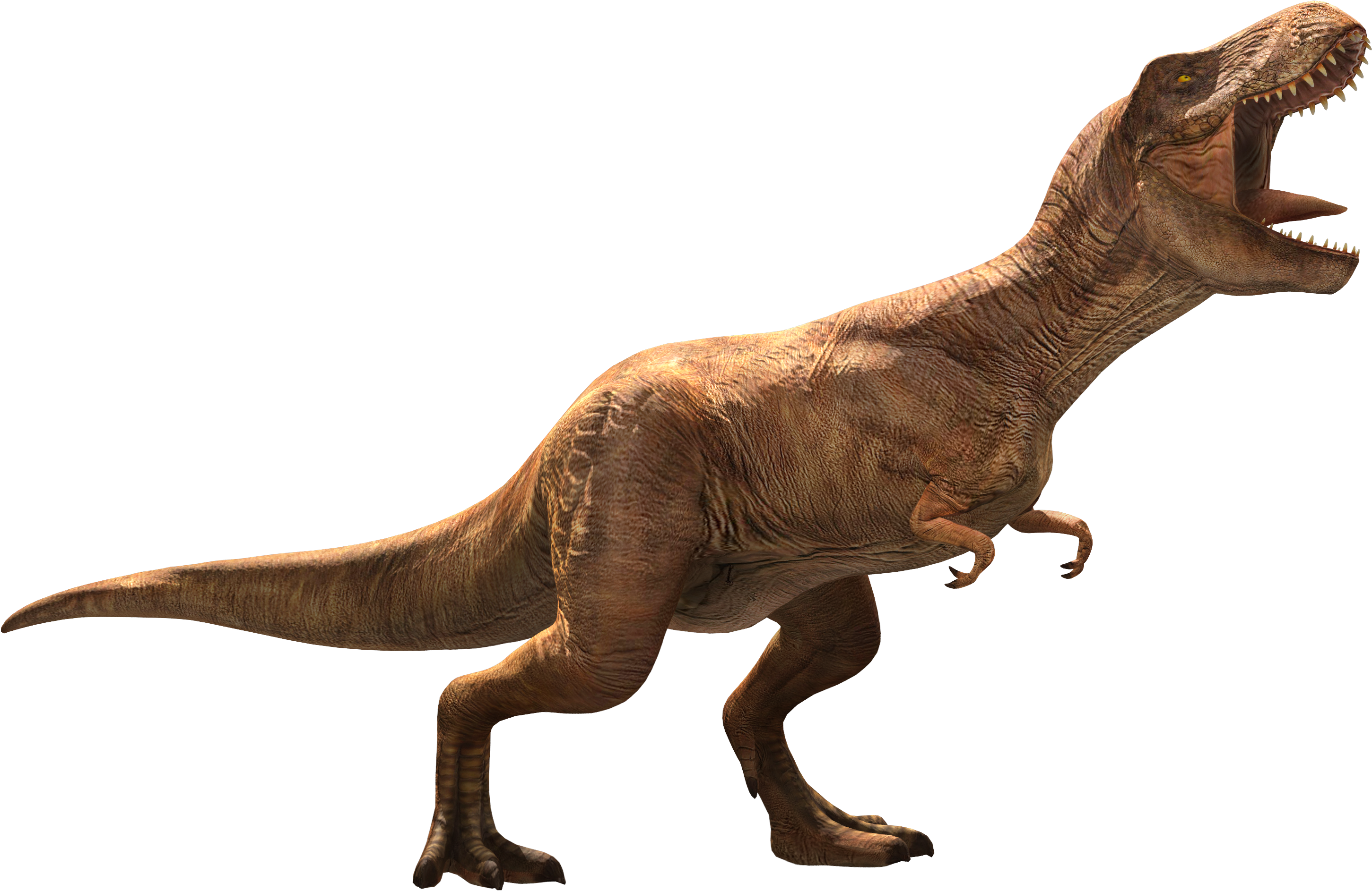 Tyrannosaurus Rex Full Body Render PNG image