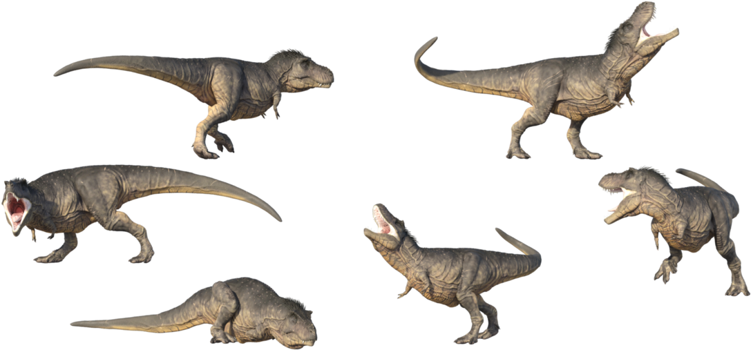 Tyrannosaurus Rex Poses Set PNG image