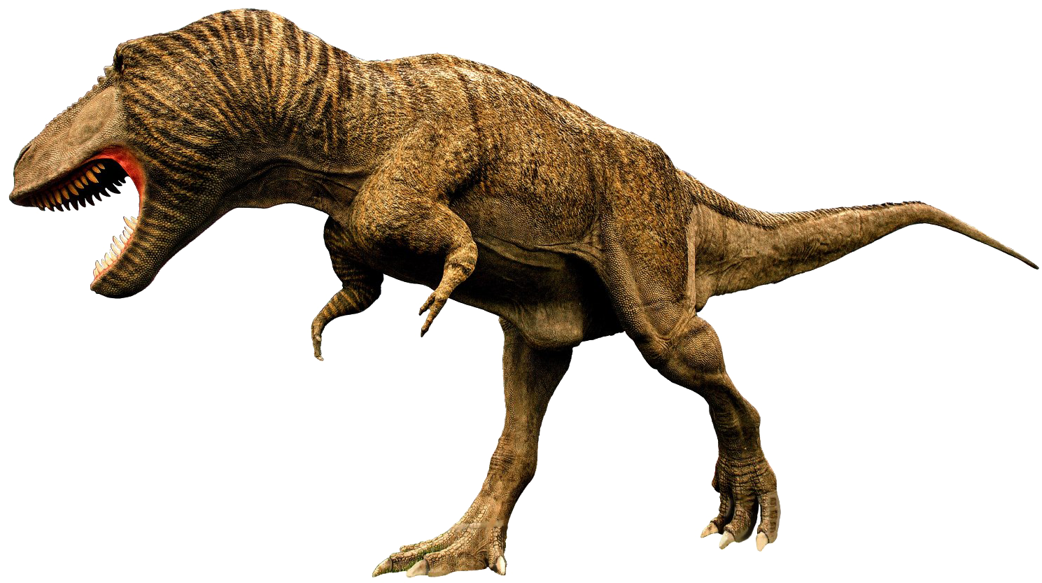 Tyrannosaurus Rex Predatory Stance PNG image