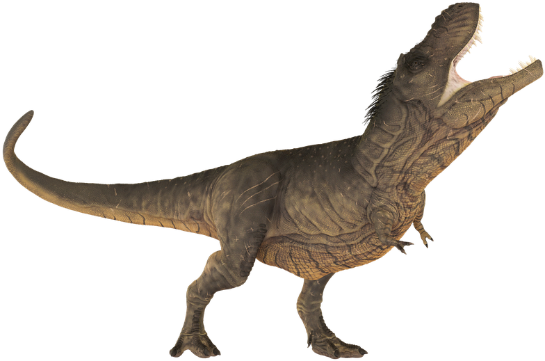 Tyrannosaurus Rex Roaring Pose PNG image