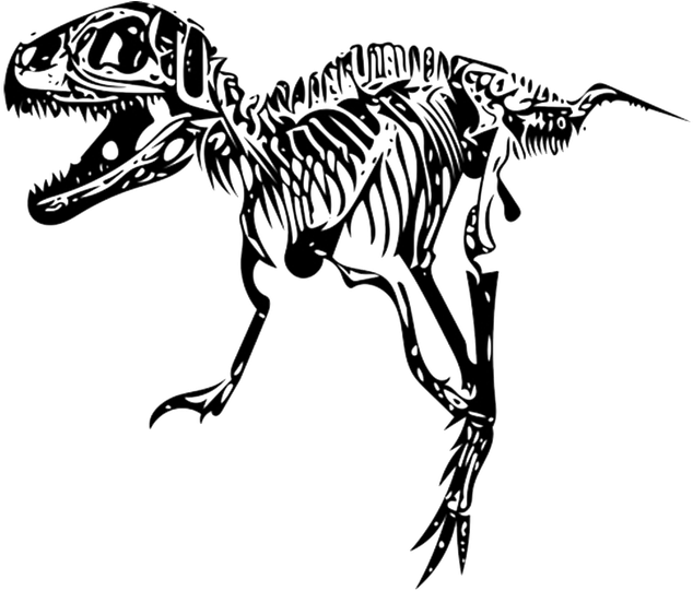 Tyrannosaurus Rex Skeleton Illustration PNG image