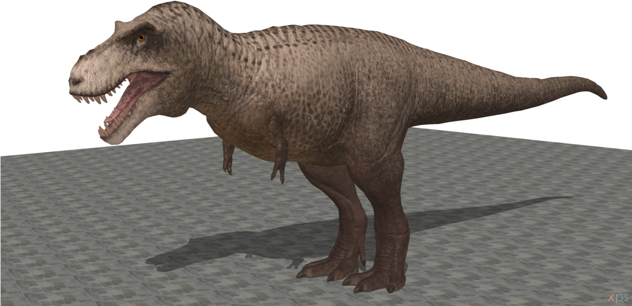 Tyrannosaurus Rex3 D Model PNG image