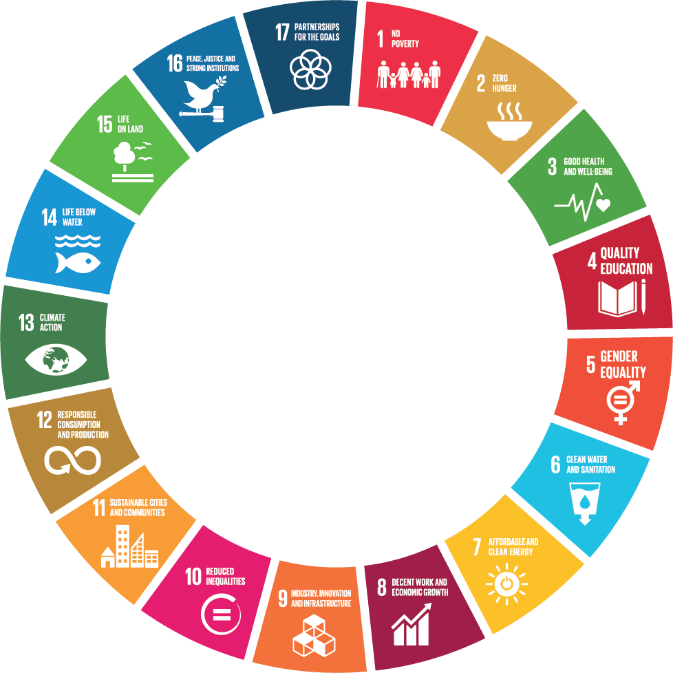 U N Sustainable Development Goals Chart PNG image