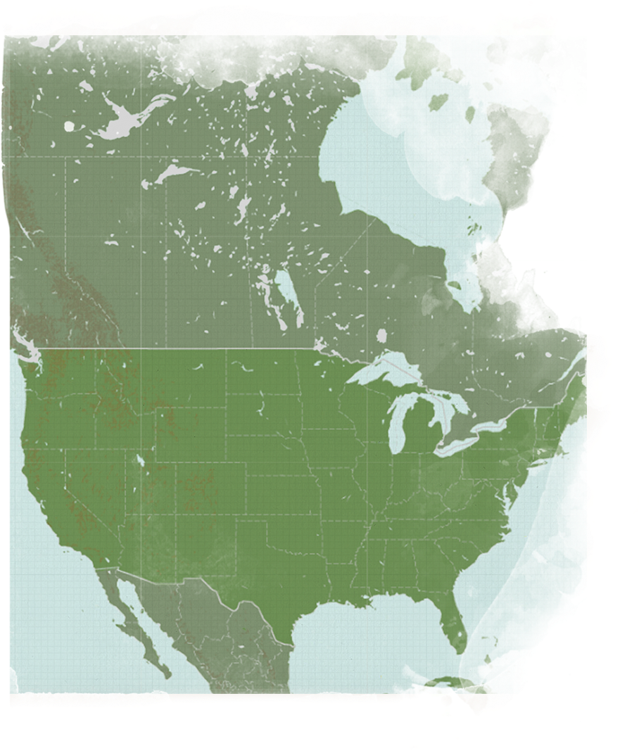 U S A Map Transparent Background PNG image