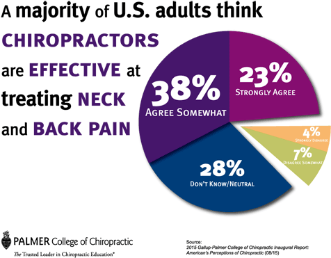 U S Adults Opinion Chiropractic Effectiveness PNG image