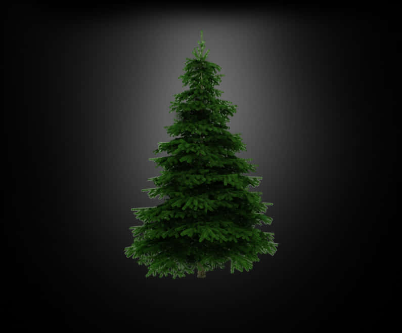 Unadorned Christmas Treeon Dark Background.jpg PNG image