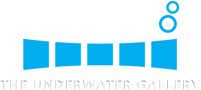 Underwater Gallery Logo Design PNG image
