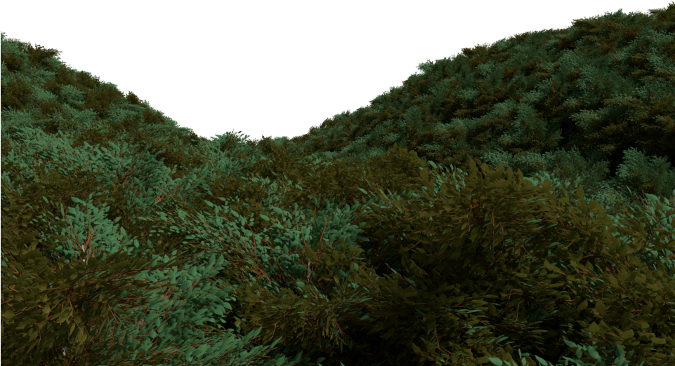 Underwater_ Seabed_ Foliage PNG image