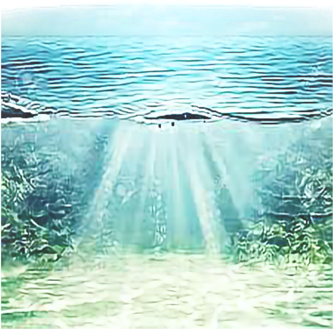 Underwater_ Sunbeams_ Aquatic_ View.jpg PNG image