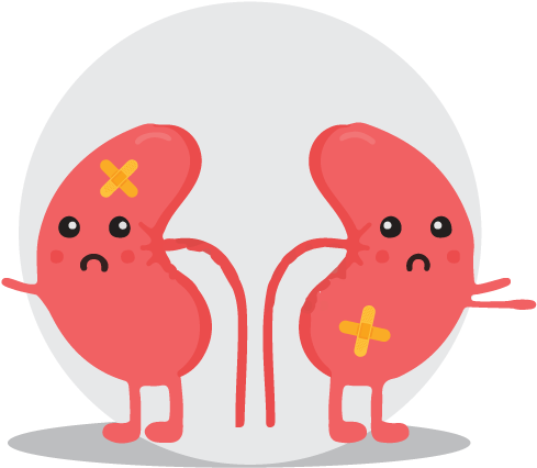 Unhappy Cartoon Kidneys PNG image