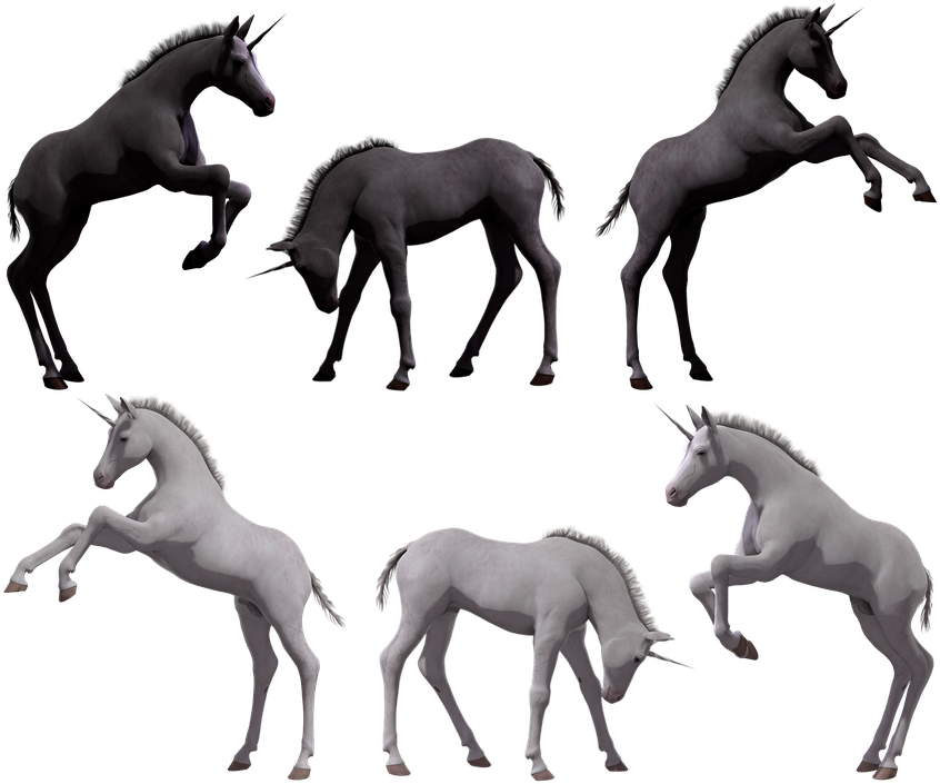Unicorn_ Foals_ In_ Various_ Poses PNG image