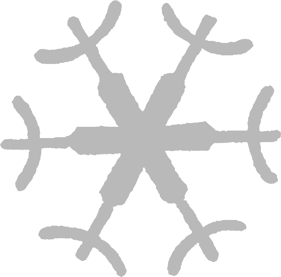 Unique Snowflake Pattern PNG image