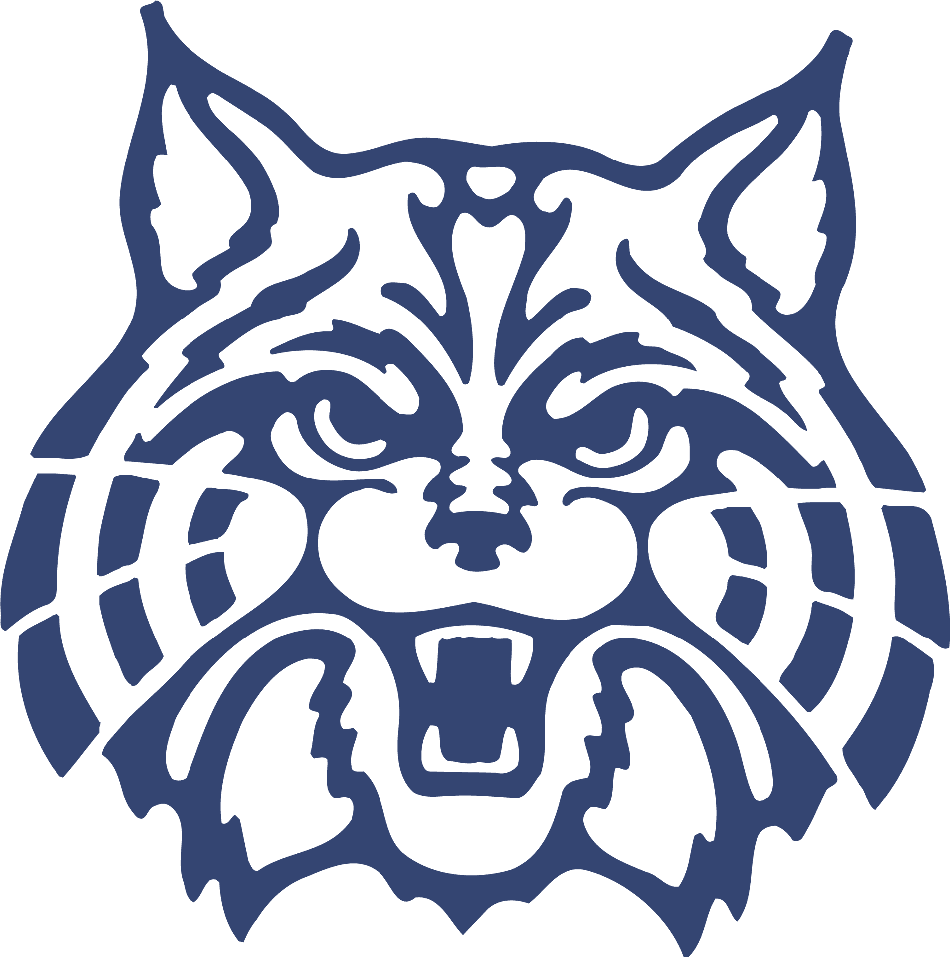 Universityof Arizona Wildcats Logo PNG image