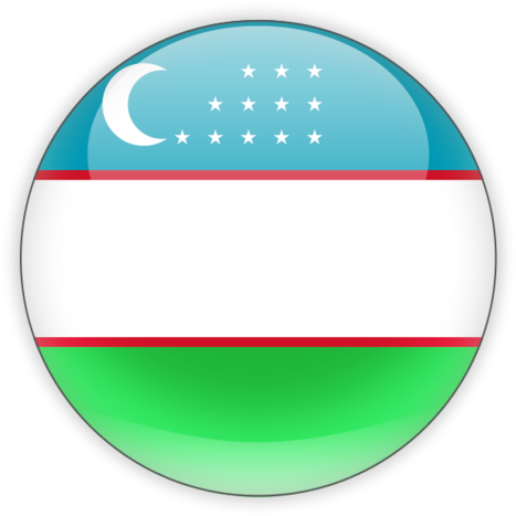 Uzbekistan Flag Button PNG image