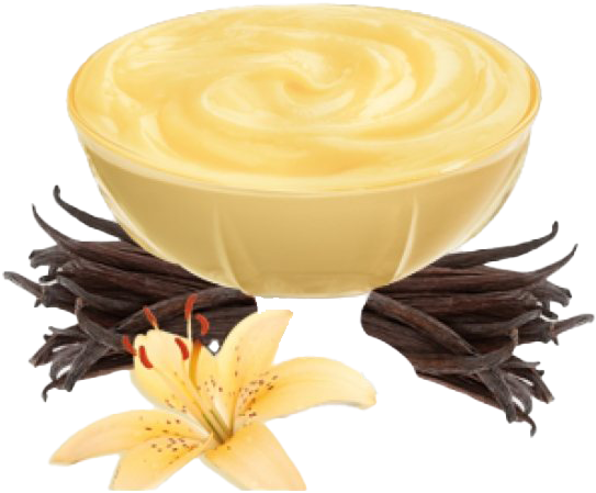 Vanilla Custardwith Vanilla Beansand Flower PNG image