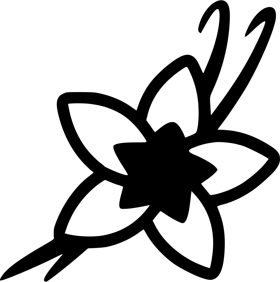 Vanilla Orchid Silhouette PNG image