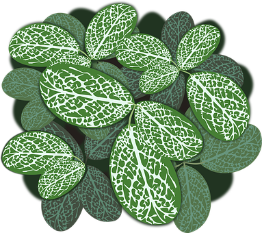 Variegated Leaves Pattern.jpg PNG image