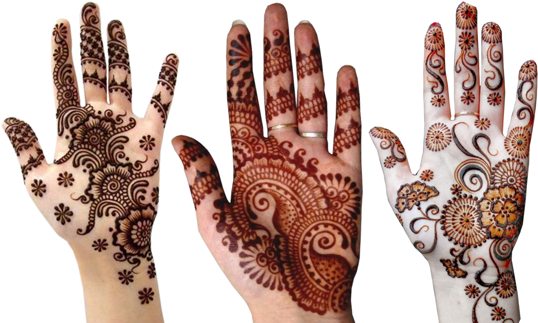 Variety_of_ Mehndi_ Designs_on_ Hands PNG image