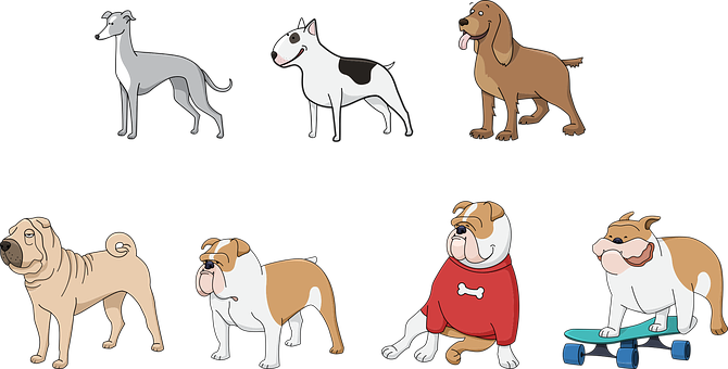 Varietyof Dog Breeds Illustration PNG image