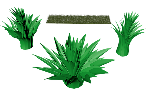 Varietyof Green Grass Clumps PNG image