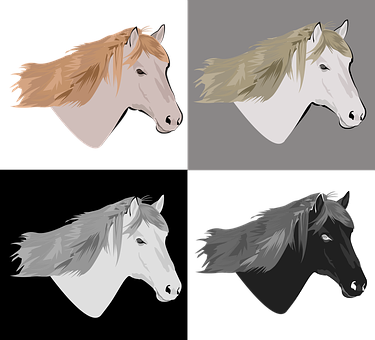 Varietyof Horse Heads Illustration PNG image