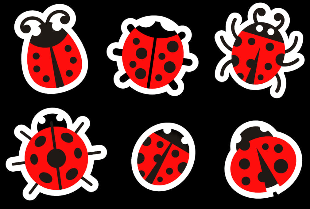 Varietyof Ladybug Illustrations PNG image