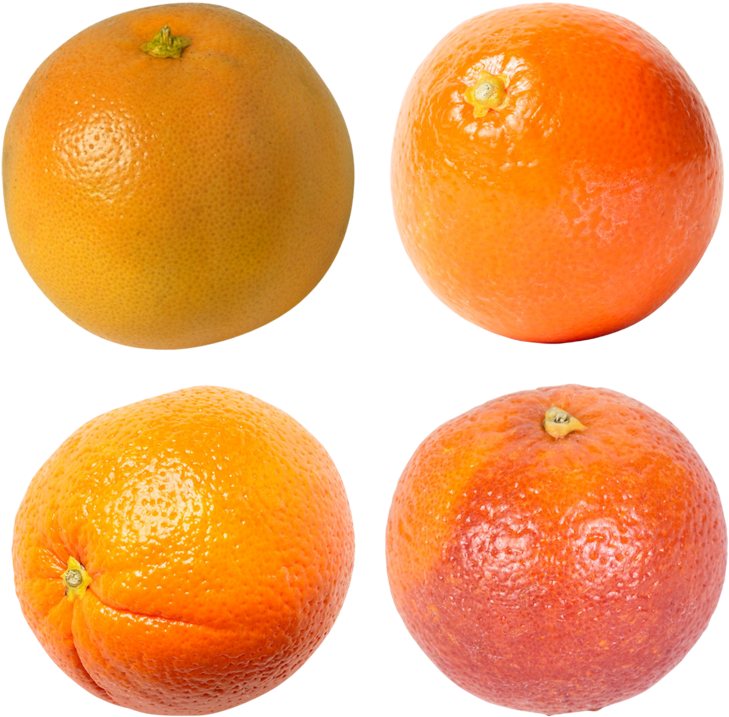 Varietyof Mandarins Image PNG image