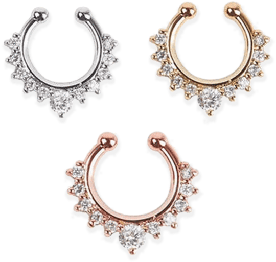 Varietyof Nose Rings Designs PNG image
