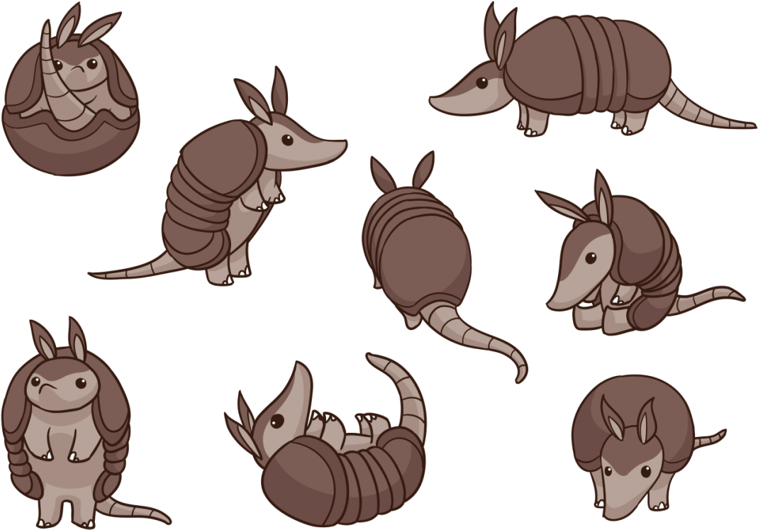 Various Armadillo Poses Cartoon Style PNG image