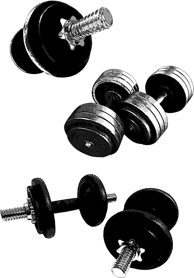 Various Dumbbellsand Barbell Set PNG image