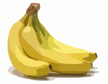 Vector Bananas Illustration PNG image