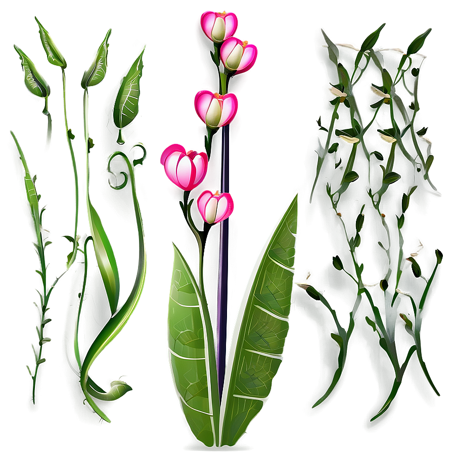 Vector Flower Stem Png Orj12 PNG image