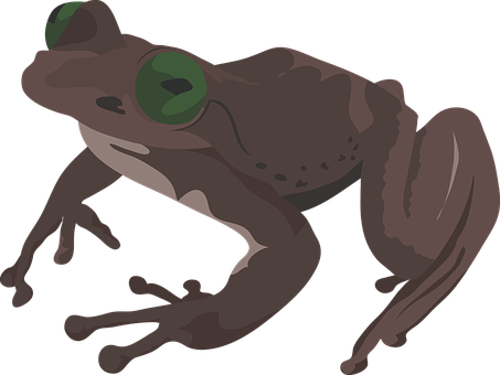 Vector Illustrationof Frog PNG image