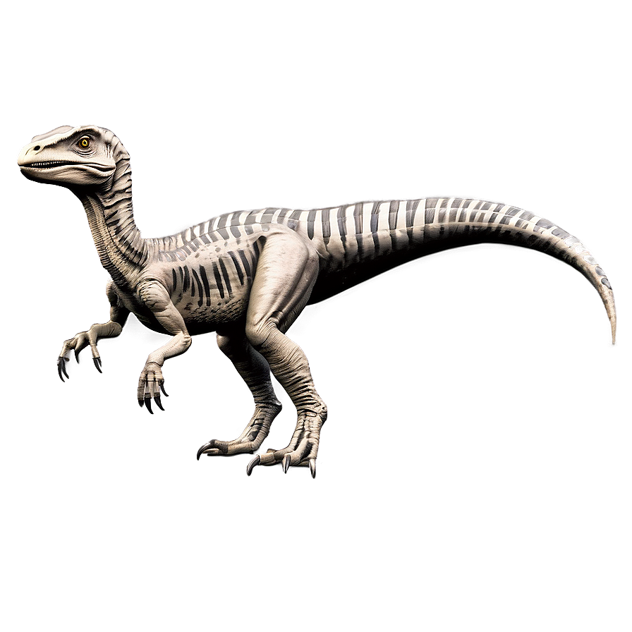 Velociraptor Comparative Anatomy Png 06202024 PNG image