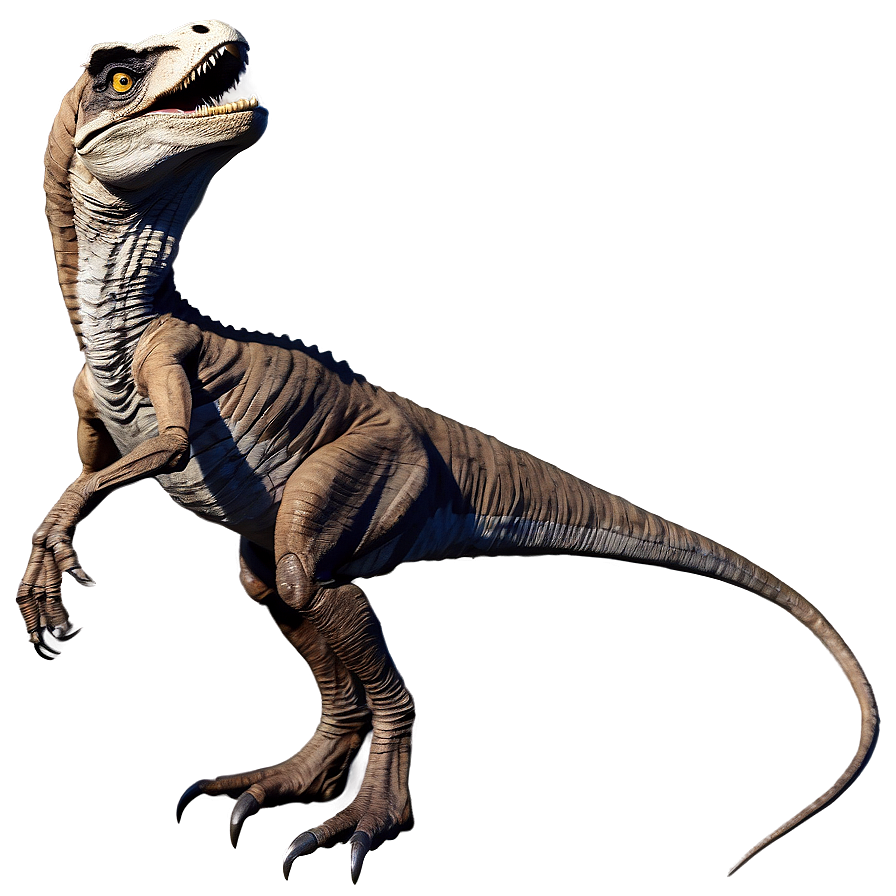 Velociraptor Fossil Replica Png Taq53 PNG image