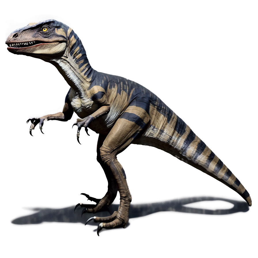 Velociraptor Social Behavior Png 1 PNG image