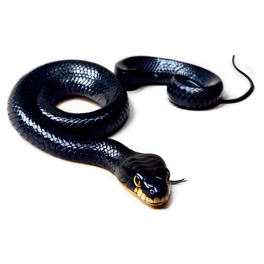 Venomous Black Snake Graphic Png Omg71 PNG image