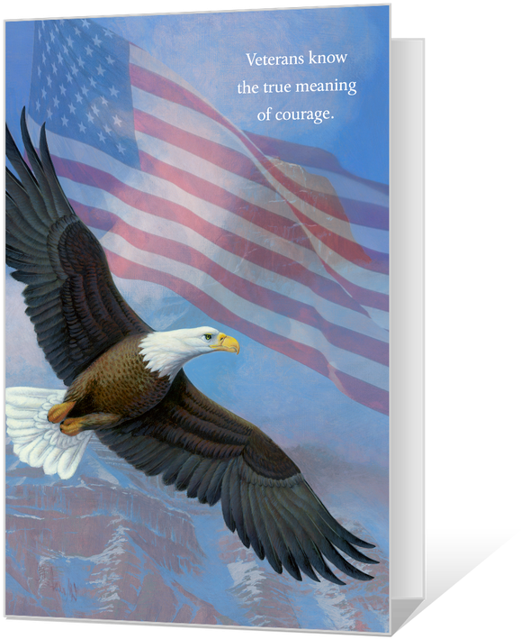 Veterans Day Eagleand Flag Tribute PNG image