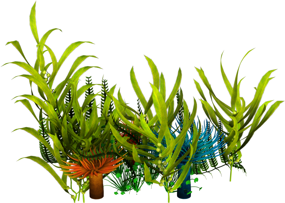 Vibrant Aquatic Plants PNG image
