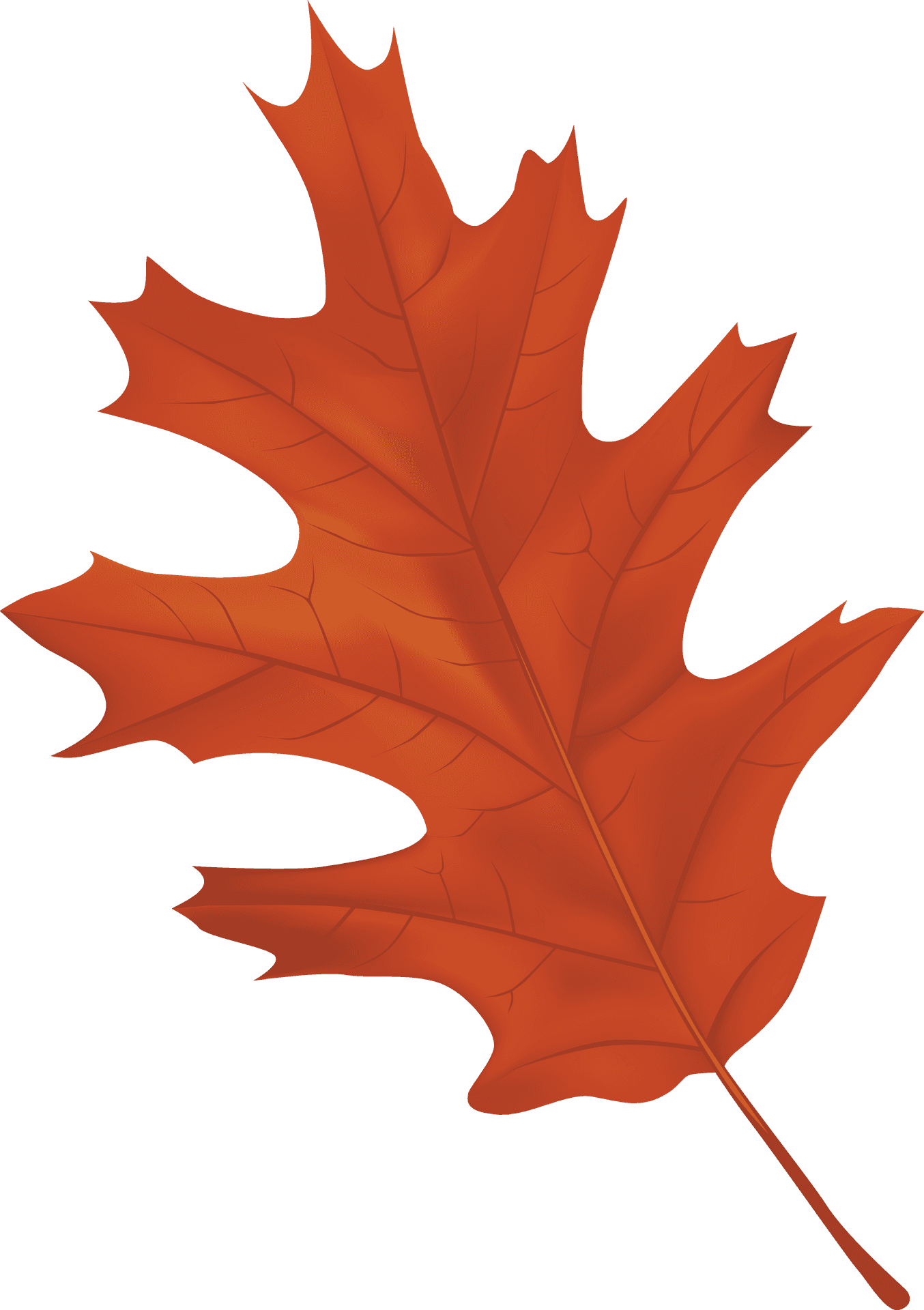 Vibrant Autumn Maple Leaf PNG image