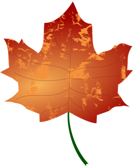 Vibrant Autumn Maple Leaf PNG image