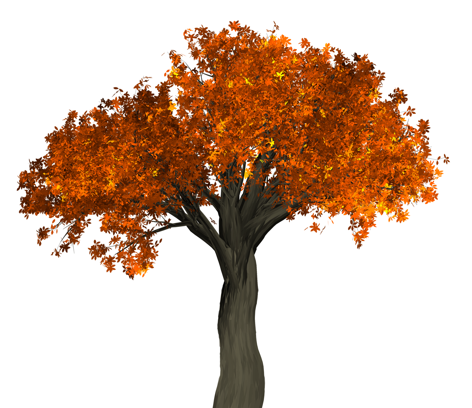 Vibrant Autumn Tree PNG image