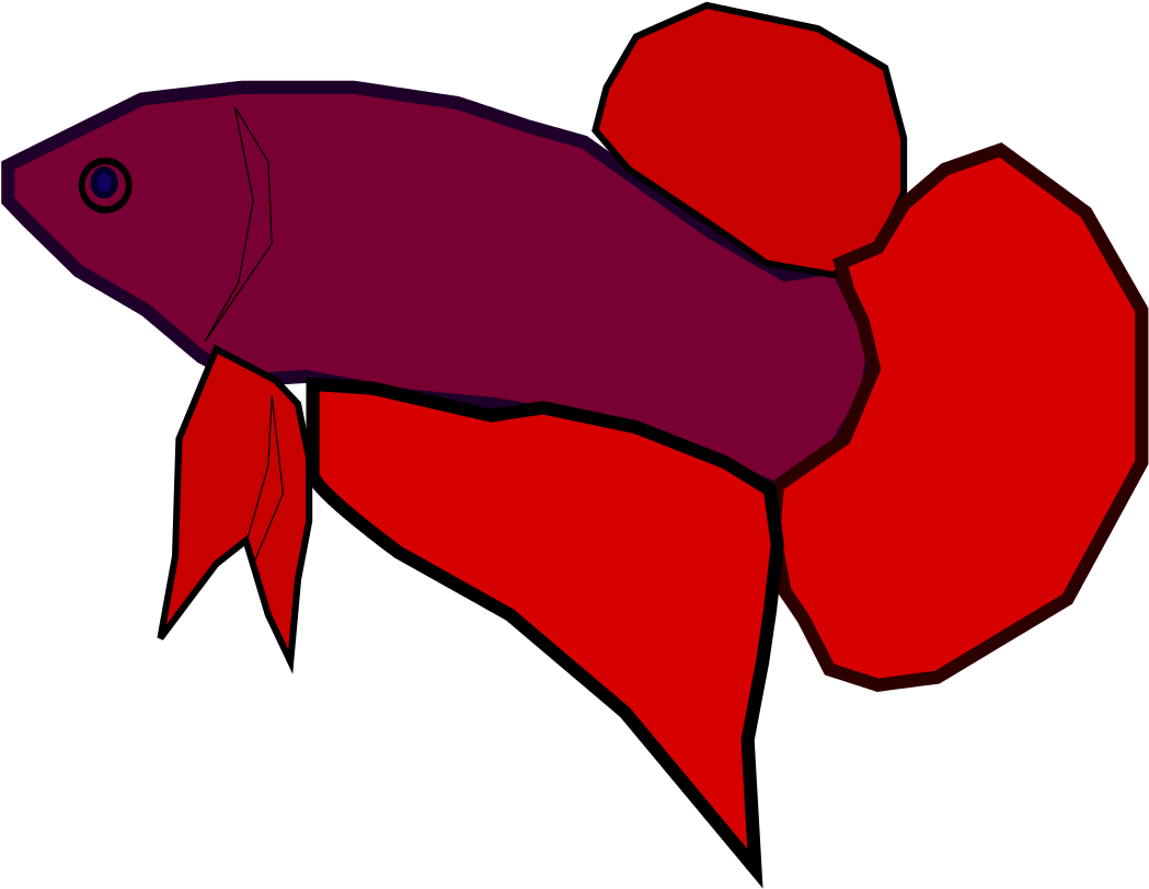 Vibrant Betta Fish Illustration.png PNG image