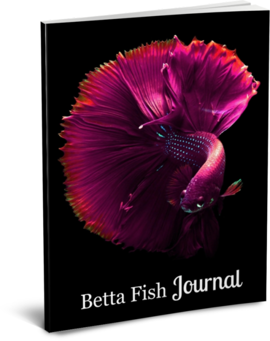 Vibrant Betta Fish Journal Cover PNG image