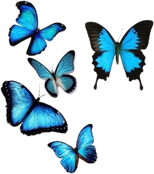 Vibrant Blue Butterflies Collection PNG image