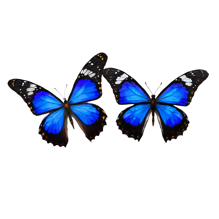 Vibrant Blue Butterflies Png 06132024 PNG image