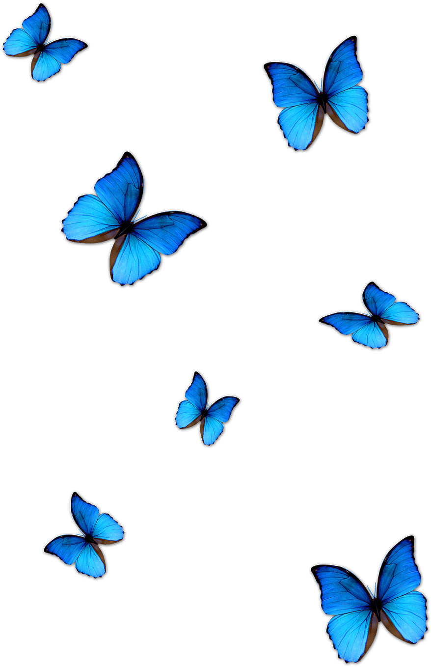 Vibrant Blue Butterflieson Grey PNG image