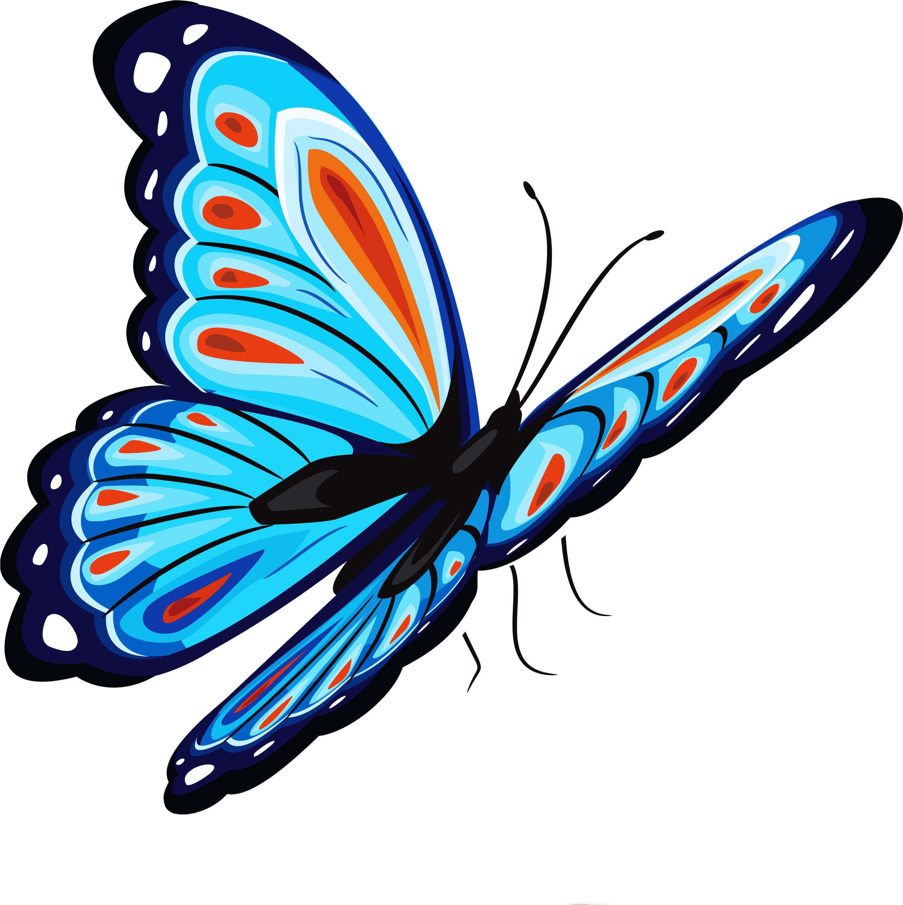 Vibrant Blue Butterfly Illustration PNG image