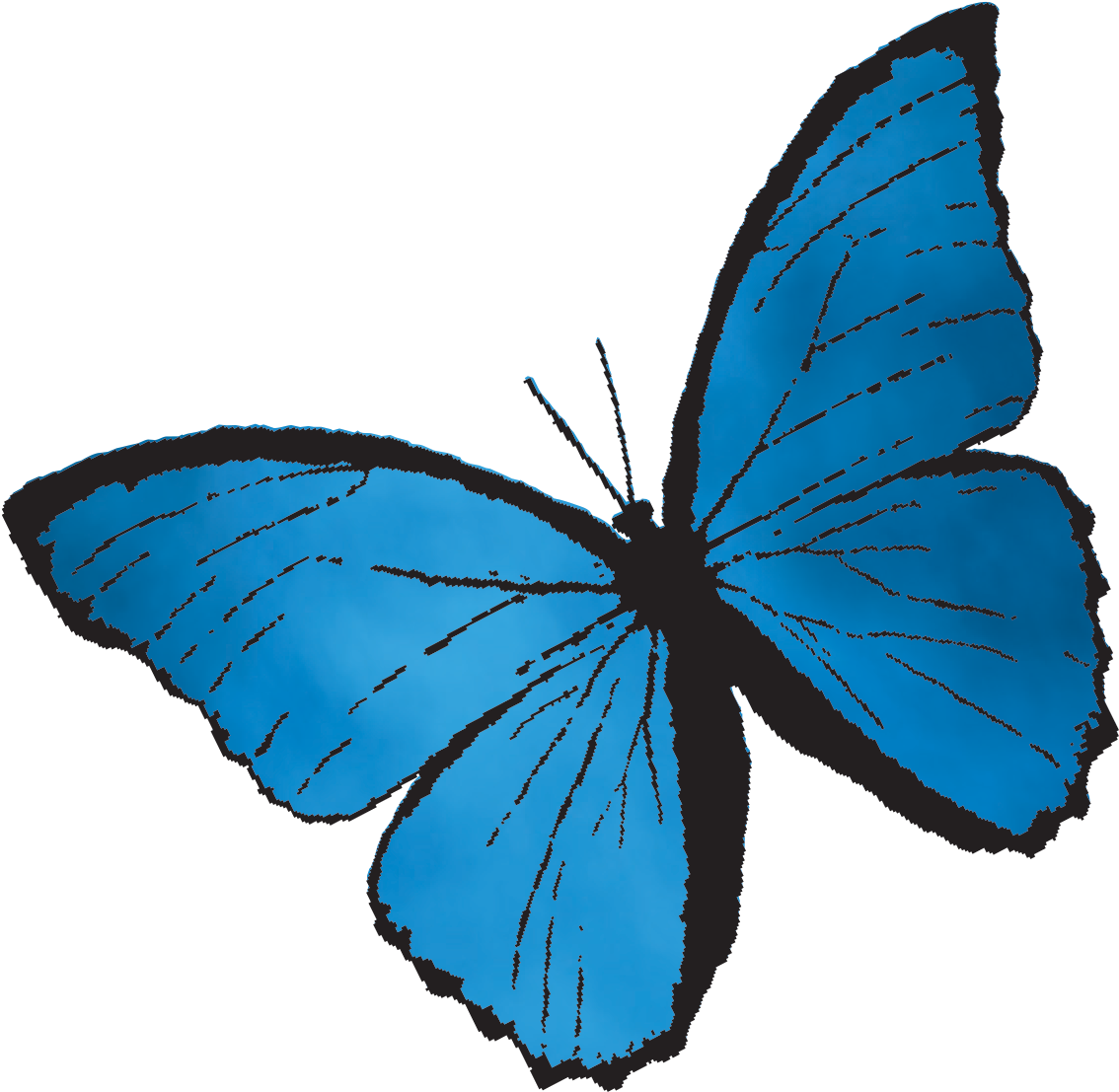 Vibrant Blue Butterfly Illustration PNG image